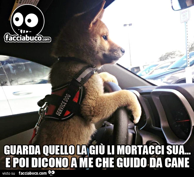 Guarda quello la giù li mortacci sua&hellip; e poi dicono a me che guido da cane