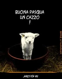 Agnellino: Buona pasqua cazzo