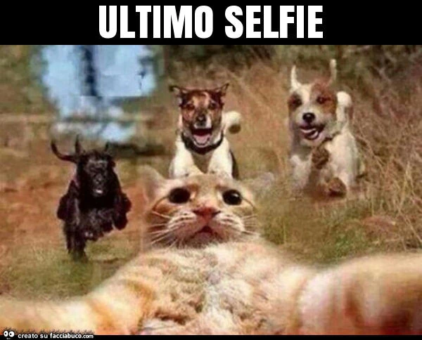 Ultimo selfie