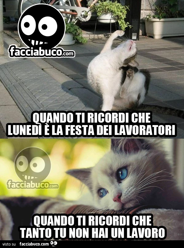 Quando ti ricordi che Lunedì è la festa dei lavoratori, quando ti ricordi che tanto tu non hai un lavoro