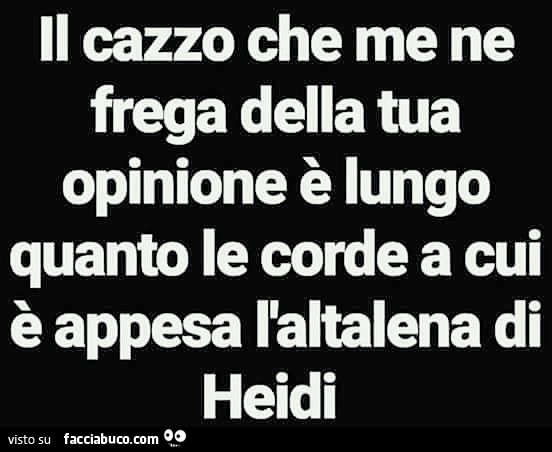 Il cazzo che me ne frega della tua opinione è lungo quanto le corde a cui è appesa l'altalena di Heidi