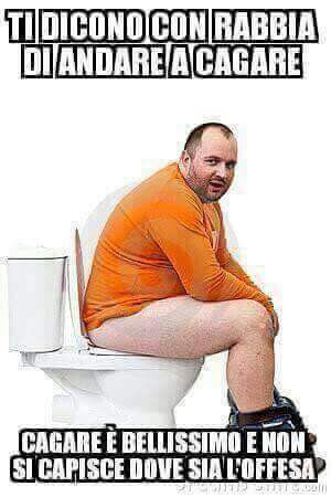 Ti dicono con rabbia di andare a cagare. Cagare è bellissimo e non si capisce dove sia l'offesa