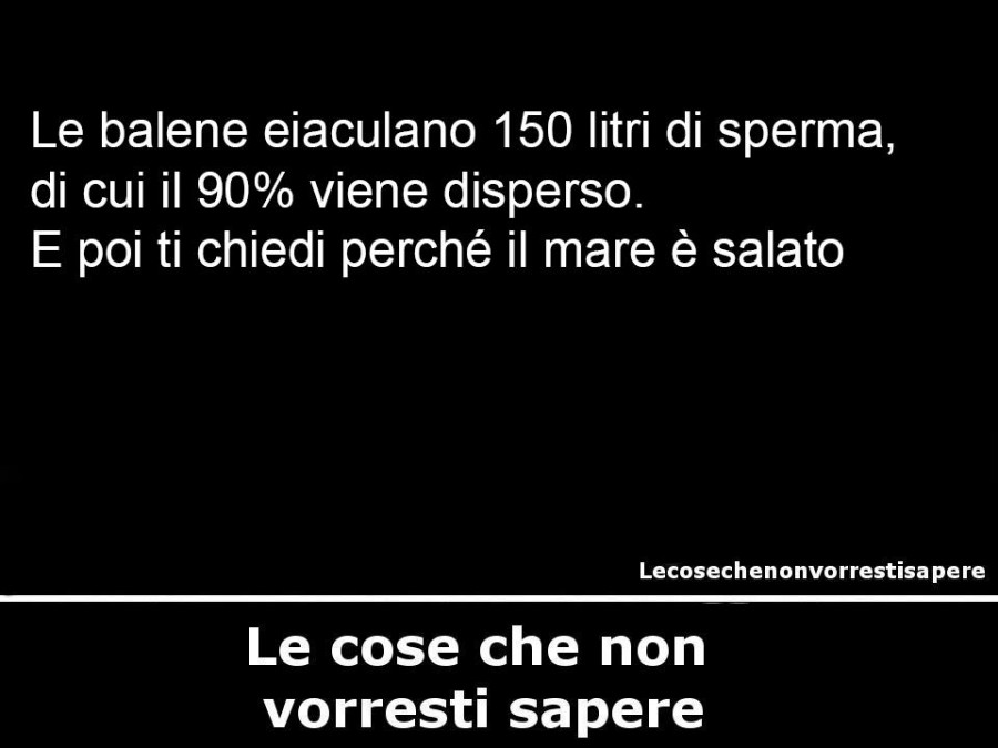 Le balene eiaculano 150 litri di sperma, di cui il 90% viene disperso. E poi ti chiedi perché il mare è salato. Le cose che non vorresti sapere