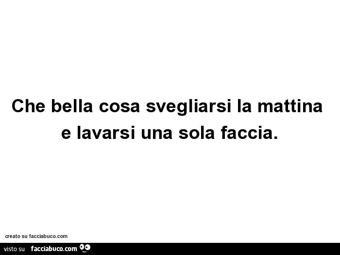 Che bella cosa svegliarsi la mattina e lavarsi una sola faccia