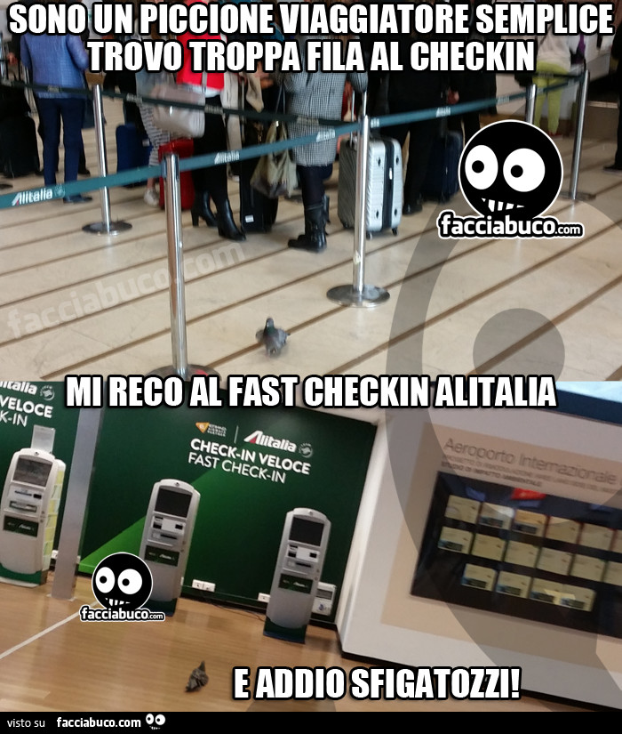 Sono un piccione viaggiatore semplice, trovo troppa fila al checkin, mi reco al fast checkin Alitalia e addio sfigatozzi