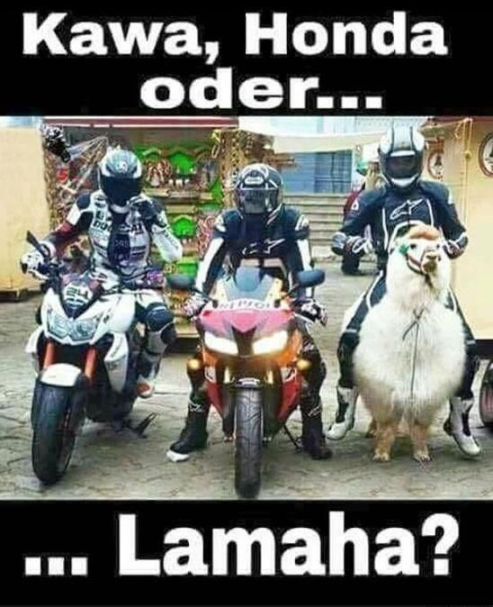 Kawa, honda oder… lamaha?