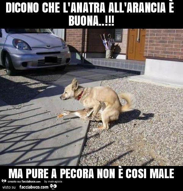 Dicono che l'anatra all'arancia è buona. ! Ma pure a pecora non è cosi male
