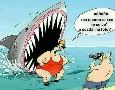 Aòòò ma quanto caxxo te ce vo a scattà na foto