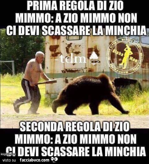 Prima regola di zio Mimmo: a zio Mimmo non ci devi scassare la minchia