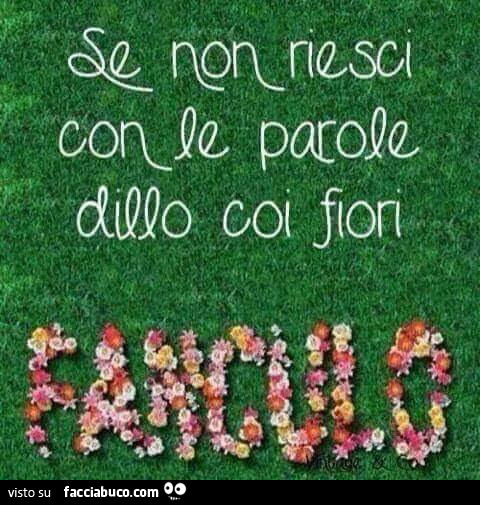 Se non riesci con le parole dillo coi fiori. Fanculo