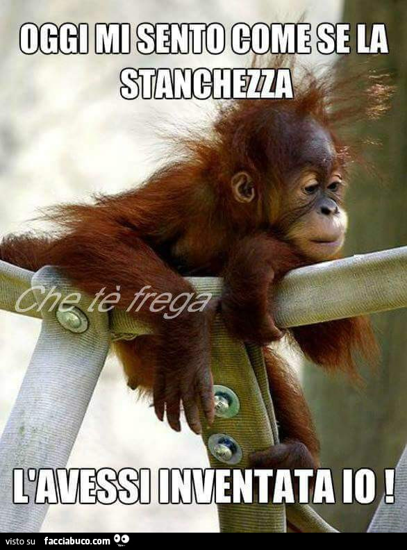 Oggi mi sento come se la stanchezza l'avessi inventata io. Scimmia spettinato